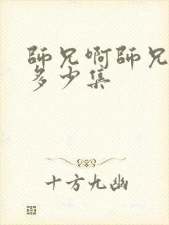 师兄啊师兄总共多少集