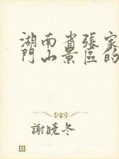 湖南省张家界天门山景区的门票价格是多少