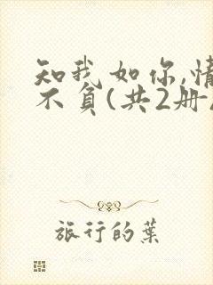 知我如你,情深不负(共2册) 小说