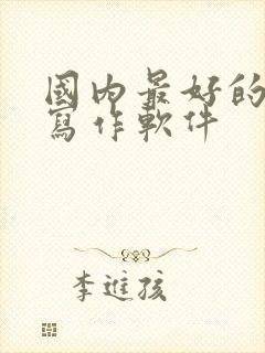 国内最好的ai写作软件