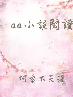 aa小说阅读器
