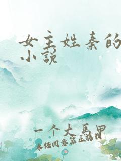 女主姓秦的古言小说