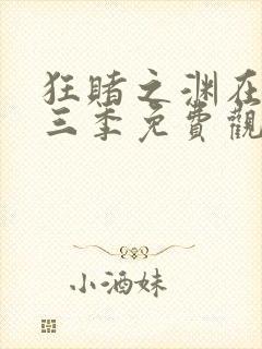 狂赌之渊在线第三季免费观看