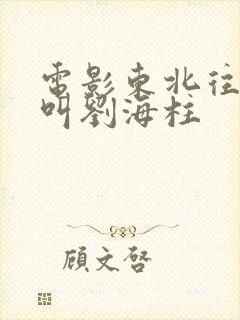 电影东北往事我叫刘海柱