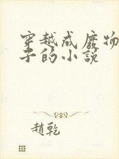 穿越成废物六皇子的小说