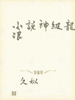 小说神级龙卫沈浪