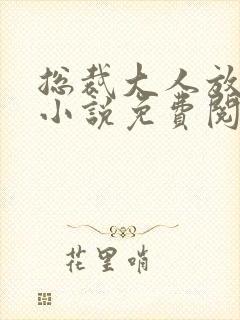 总裁大人放肆爱小说免费阅读全文