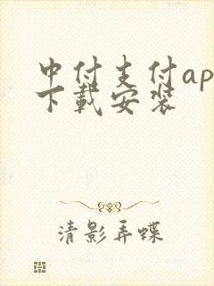 中付支付app下载安装