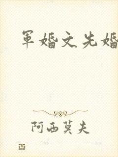 军婚文先婚后爱