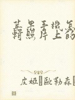 苹果手机怎么编辑照片上的文字