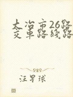 大冶市26路公交车路线路线图