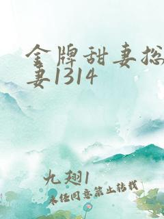 金牌甜妻总裁宠妻1314