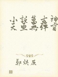 小说万古神帝飞天鱼无弹窗