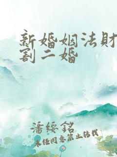 新婚姻法财产分割二婚