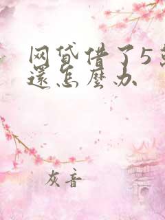 网贷借了5万不还怎么办