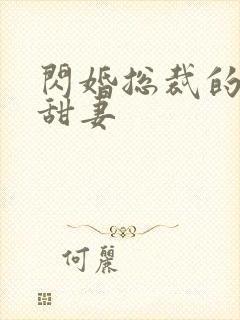 闪婚总裁的契约甜妻