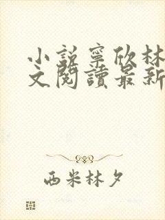 小说宁欣林峰全文阅读最新章节