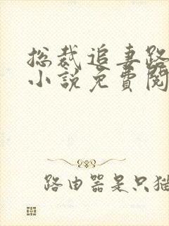 总裁追妻路漫漫小说免费阅读全文