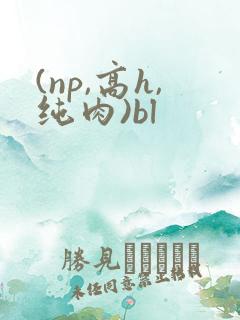 (np,高h,纯肉)bl
