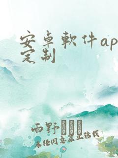 安卓软件app定制