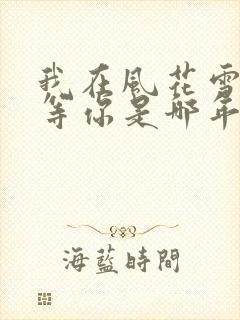 我在风花雪月里等你是哪年的小说