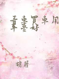 看车买车用什么平台好