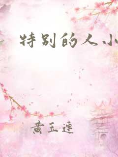 特别的人小说