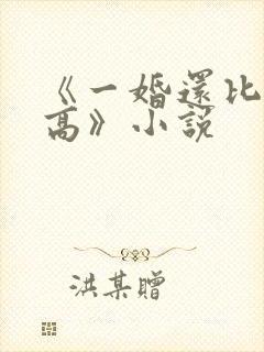 《一婚还比一婚高》小说