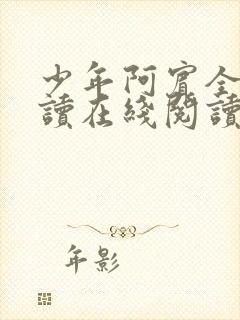 少年阿宾全文阅读在线阅读全文
