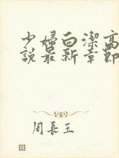 少妇白洁高义小说最新章节