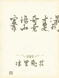 官场奇才:最强靠山竟是我自己李澜全本阅