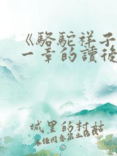 《骆驼祥子》第一章的读后感200字