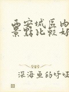 西安城区内哪个景点比较好玩