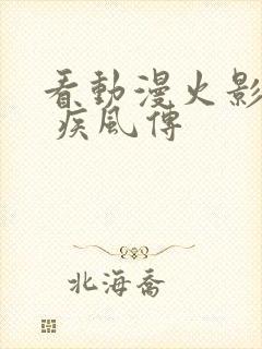 看动漫火影忍者 疾风传