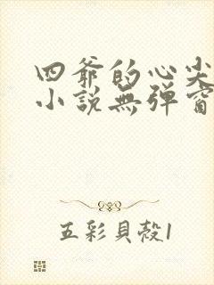 四爷的心尖宠妃小说无弹窗