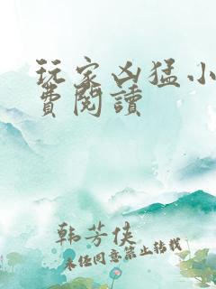 玩家凶猛小说免费阅读