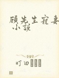 顾先生宠妻有度 小说