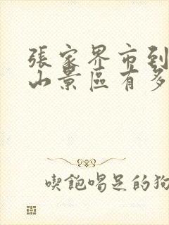 张家界市到天门山景区有多远路程