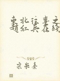 东北往事之我叫赵红兵在线观看