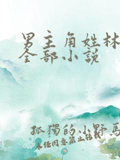 男主角姓林辰的全部小说