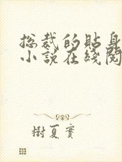 总裁的贴身保镖小说在线阅读