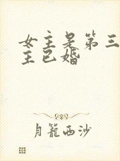 女主是第三者男主已婚