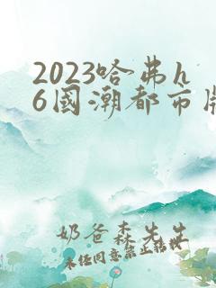 2023哈弗h6国潮都市版