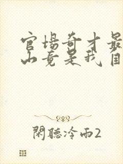 官场奇才最强靠山竟是我自己的小说叫什么