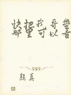 快把我哥带走在哪里可以看