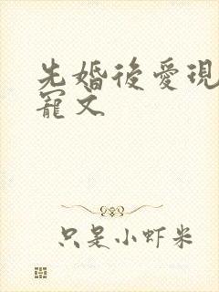 先婚后爱现言甜宠文
