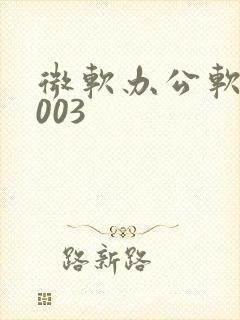 微软办公软件2003