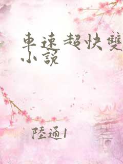 车速超快双男主小说