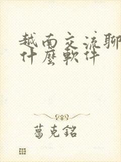 越南交流聊天用什么软件