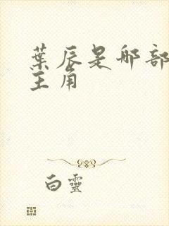 叶辰是哪部小说主角